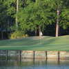 Cupp Course at Palmetto Hall: View from no. 18