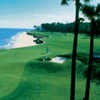 Melrose Club: palm trees on #18