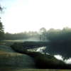 A foggy view of a green at Palmetto Hall Plantation