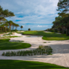 View from #15 at Atlantic Dunes at Sea Pines