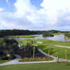 Palmetto Dunes - Jones #9