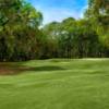 A sunny day view of a hole at Palmetto Hall Plantation.