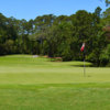 A view of hole #8 at Sea Pines Country Club.