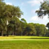 A view of the 17th hole from Golden Bear Golf Club at Indigo Run.