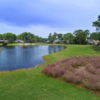 A view from Oyster Reef Golf Course