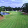 View of a green at Oyster Reef Golf Course