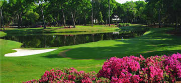 A sunny day view of a green at Bruce Borland Course from Colleton River Club.