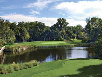 Arthur Hills Golf Course at Palmetto Dunes Oceanfront Resort, Hole #8.