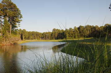 Cupp Course at Palmetto Hall: View from no. 13