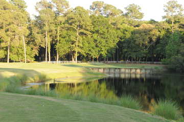 Cupp Course at Palmetto Hall: View from no. 16