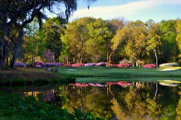 A view of a green with water coming into play at Dataw Island Golf Course