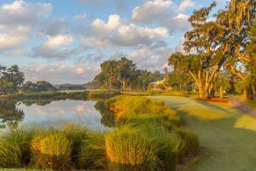 A sunny day view from Callawassie Island Club