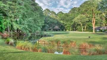 View from no. 4 on Dolphin Head Golf Course