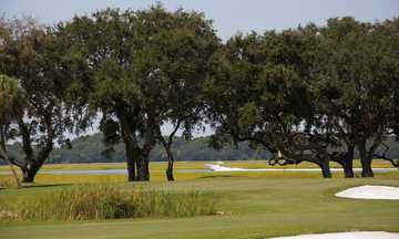 View of the 12th green at Country Club of Hilton Head