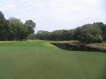 The 18th on the Robber's Row at Port Royal Plantation, looking from the green back at the fairway