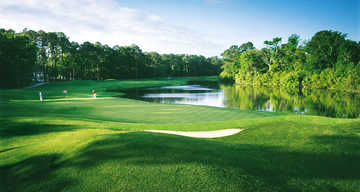 A splendid day view of a hole from Arthur Hills at Palmetto Hall Plantation