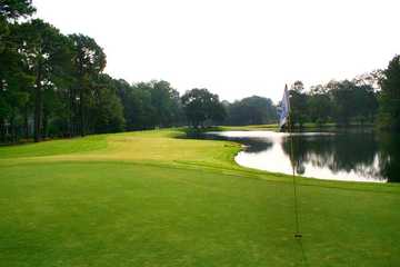A view of a green at Moss Creek Golf Club.