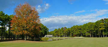 Dolphin Head's 9th hole