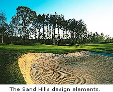 No. 17 at Eagle's Pointe Golf Club