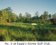 No. 3 at Eagle's Pointe Golf Club
