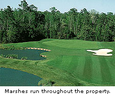 No. 8 at Eagle's Pointe Golf Club