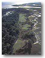 Ocean Creek